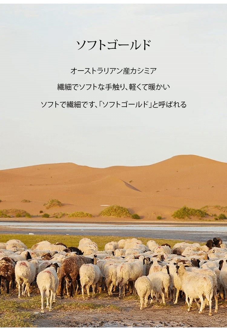 日语_16.gif