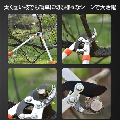 SK5太い枝切り鋏