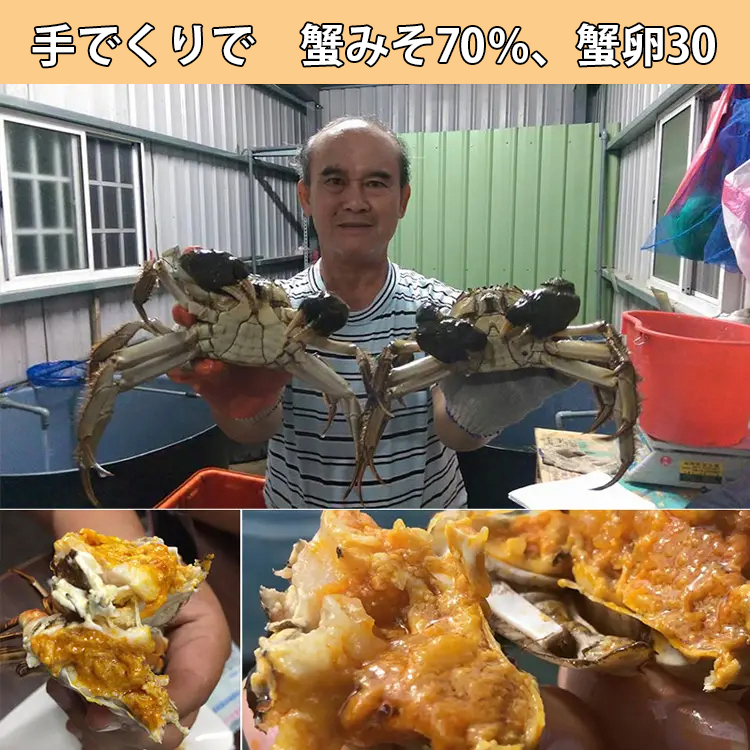 【最新発売】厳選されたエコロジーな蟹卵醤