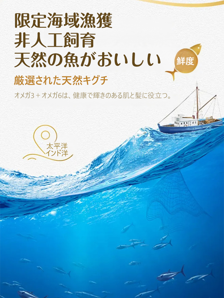 干しキグチ
