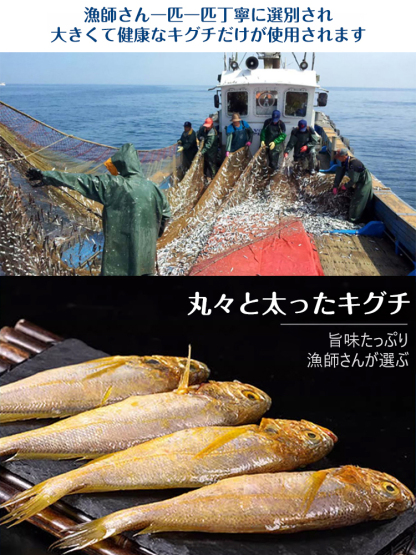 干しキグチ