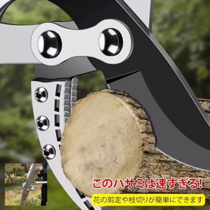 SK5太い枝切り鋏