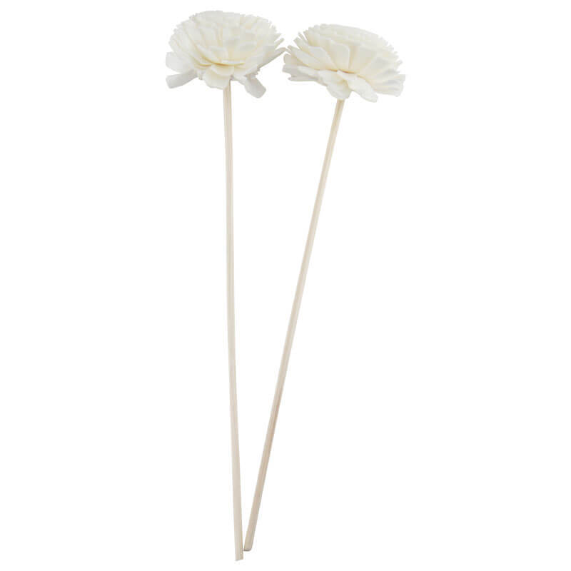 菊花籐枝 (2朵)
