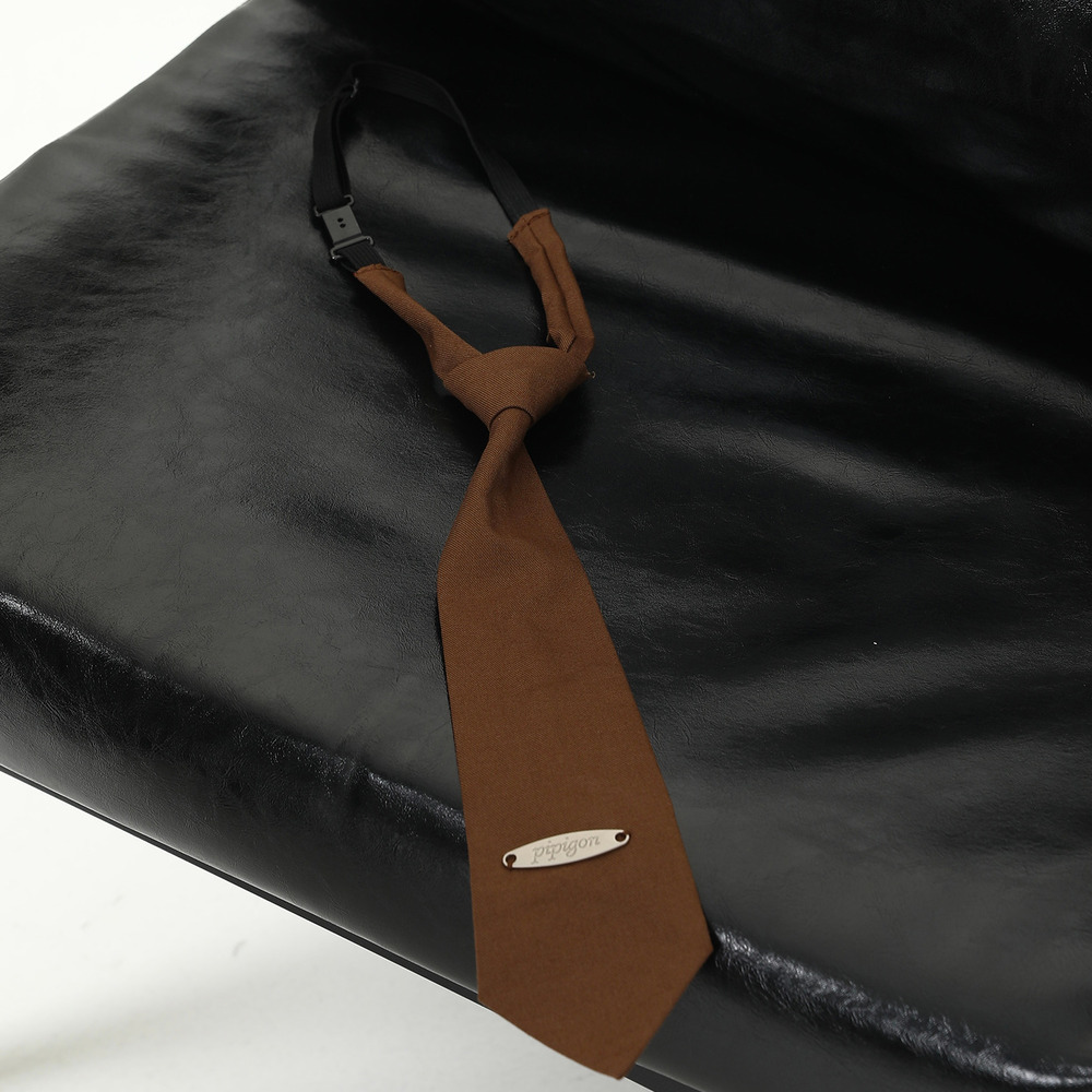 棕色領帶美拉德襯衫穿搭百搭氛圍感可擕式領帶