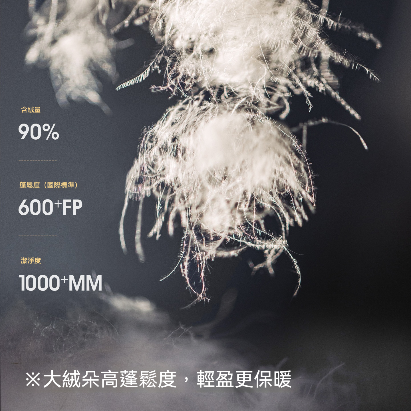 黑色90白鴨防鑽絨高立翻領短款加厚保暖麵包羽絨服外套女士冬