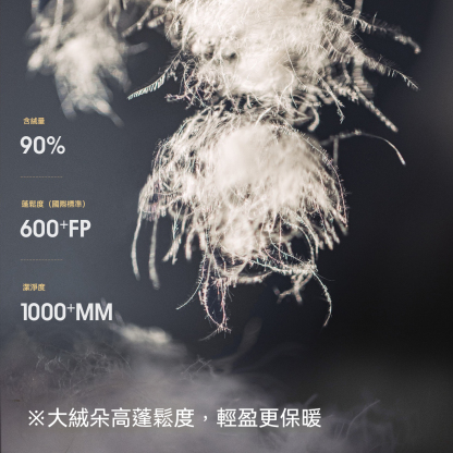 黑色90白鴨防鑽絨高立翻領短款加厚保暖麵包羽絨服外套女士冬