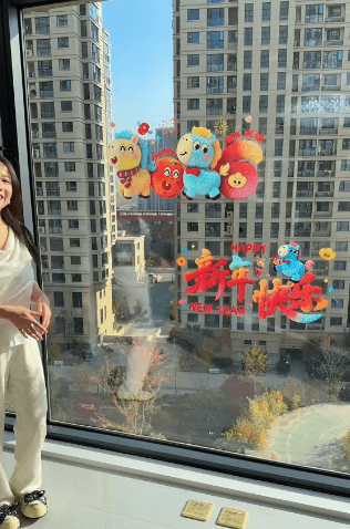 Honeycam 2025-12-25 18-01-59.gif