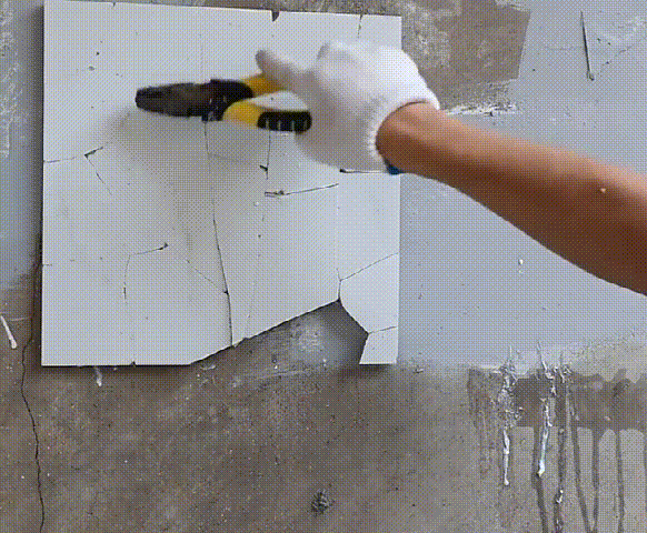 1636547976539064.gif