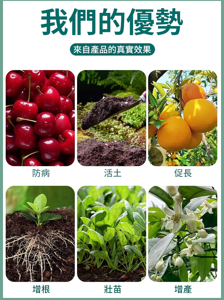 翻译件-JS-植物高效生长微生物复合肥-1167043-系统_13.jpg