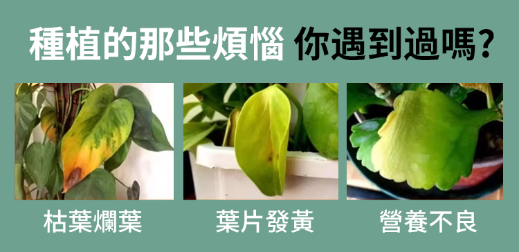翻译件-JS-植物高效生长微生物复合肥-1167043-系统_04.jpg
