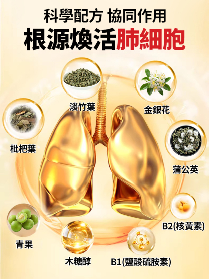 【肺部呼吸淨化片】金銀花枇杷青果片