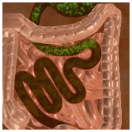 2a5202f232443dffde5f42ee35e240b4.gif