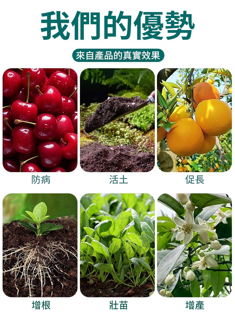 植物高效生長微生物複合肥