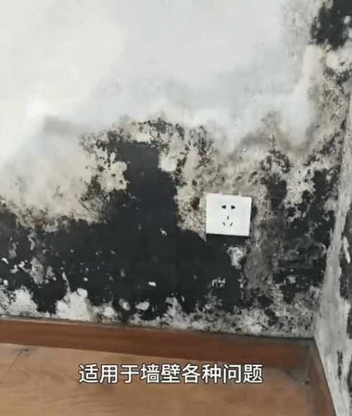 Honeycam 2026-08-18 16-12-03.gif