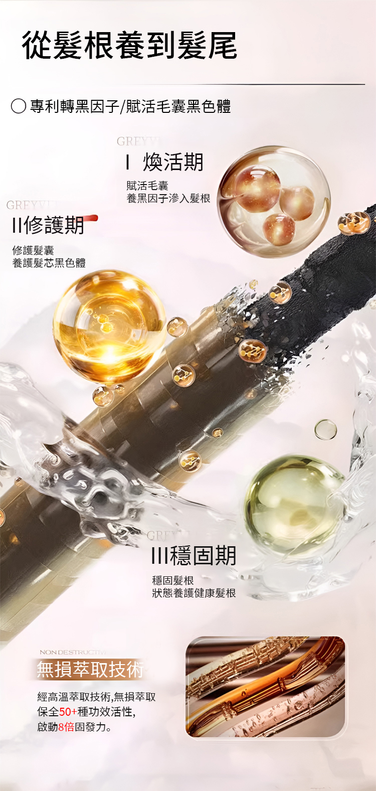 翻译件-SL-【黑发密发】燕窝胶原蛋白润养洗发露-1278755-系统_08.jpg