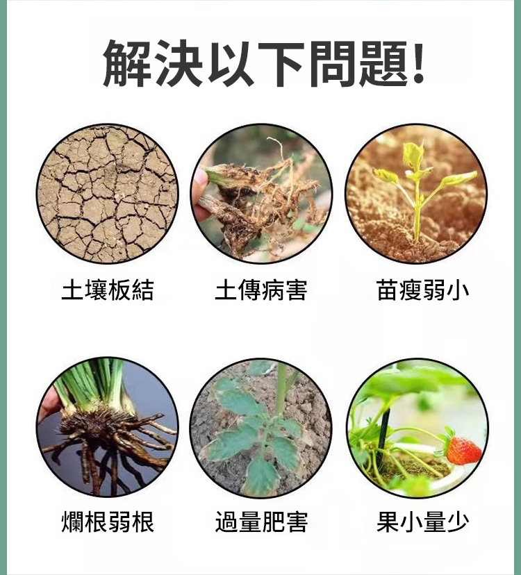翻译件-JS-植物高效生长微生物复合肥-1167043-系统_02.jpg