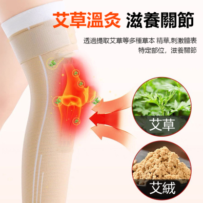 自發熱艾草理療護膝