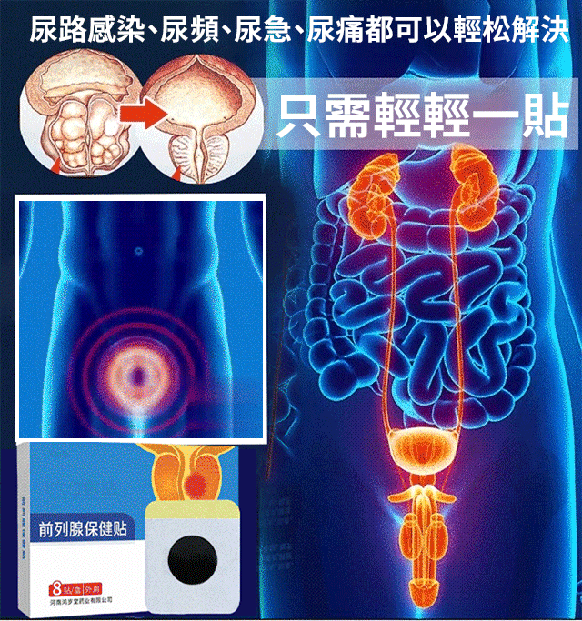 男性腎寶貼
