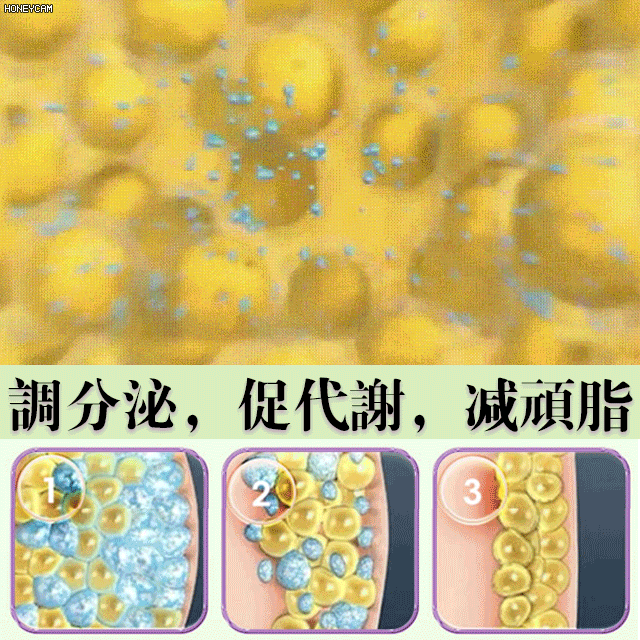 【燃掉脂肪】西梅西柚膳食纖維果飲