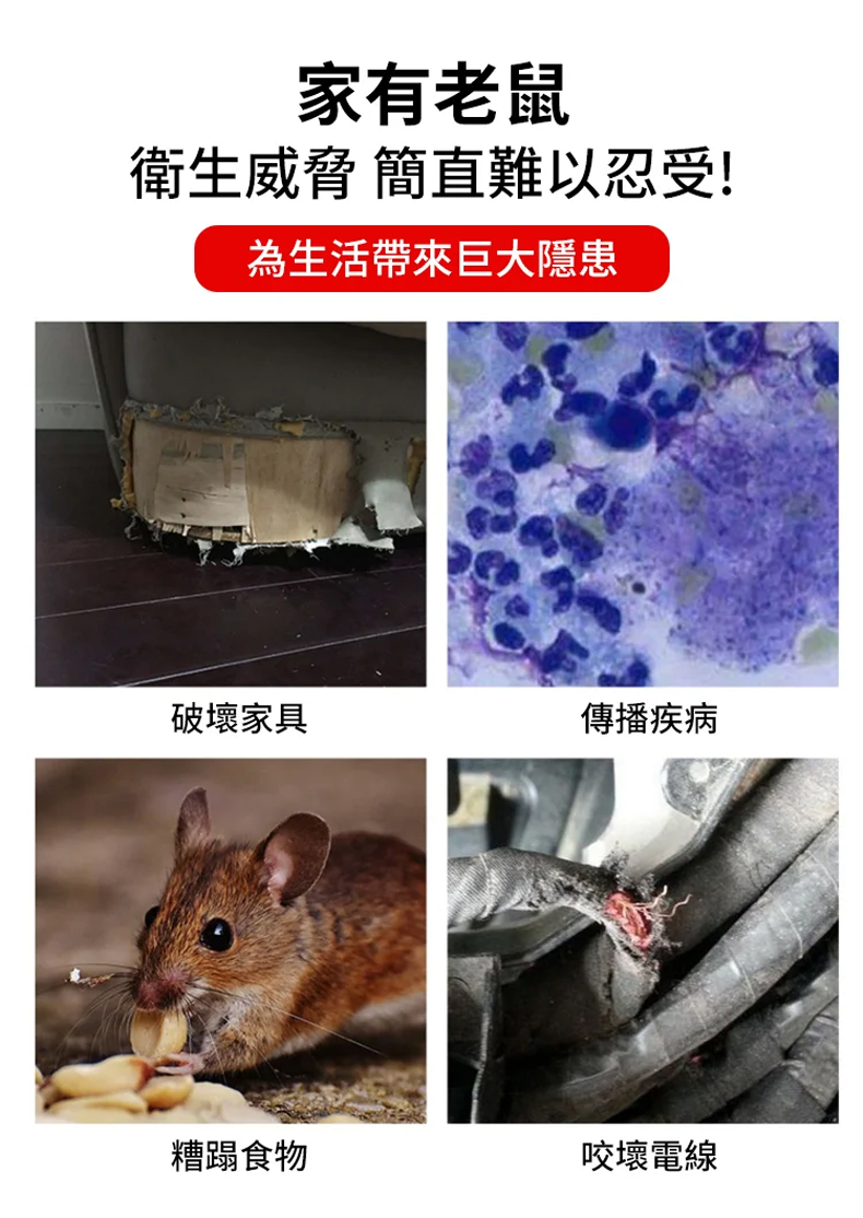 翻译件-SL-【1晚上抓1窝】超强力灭鼠魔毯-1235466-系统_02.jpg