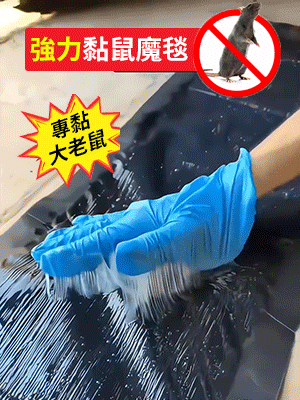 3.gif
