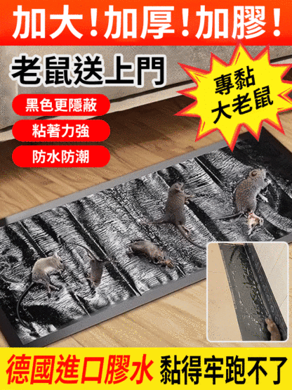 【1晚上抓1窩】超強力滅鼠魔毯，超大尺寸，可隨意剪裁放置地面等強力粘膠，滅絕老鼠
