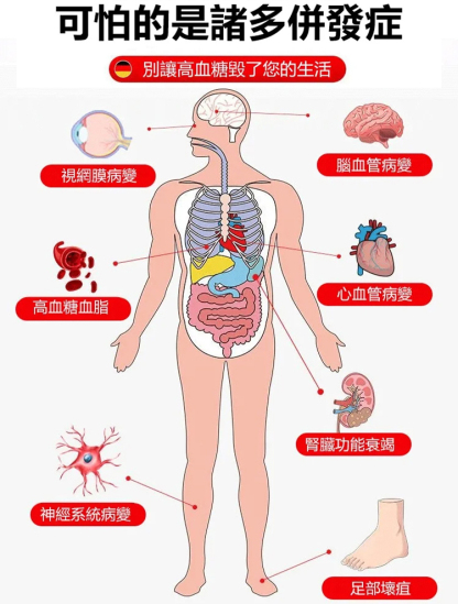 黨參山楂黃耆片-高血壓剋星