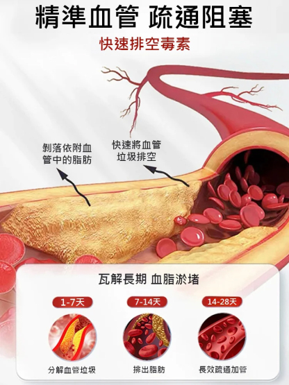 【血管清道夫】磷脂軟膠囊