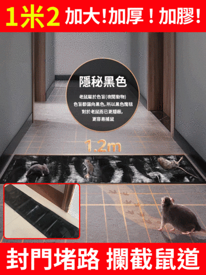 【1晚上抓1窩】超強力滅鼠魔毯，超大尺寸，可隨意剪裁放置地面等強力粘膠，滅絕老鼠