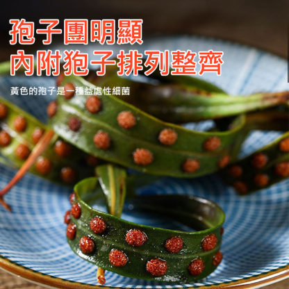 純正野生人工採摘藏精茶，天然野生藏精茶，補充精氣，提升力量感，每天泡一杯，讓你重回年輕巔峰狀態