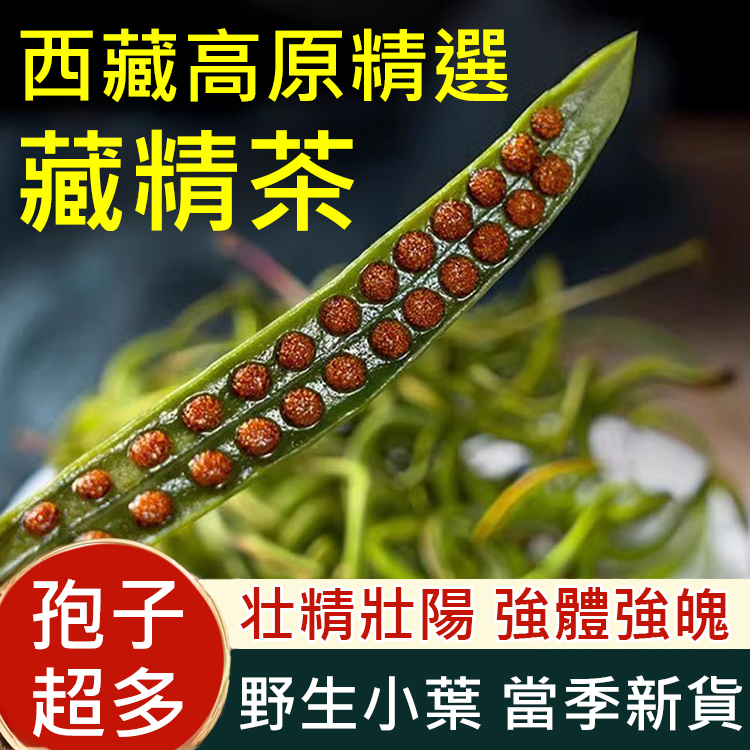 純正野生人工採摘藏精茶，天然野生藏精茶，補充精氣，提升力量感，每天泡一杯，讓你重回年輕巔峰狀態