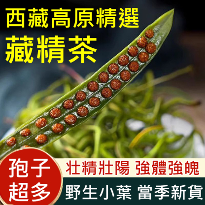 純正野生人工採摘藏精茶，天然野生藏精茶，補充精氣，提升力量感，每天泡一杯，讓你重回年輕巔峰狀態