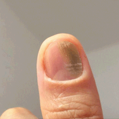 66.gif