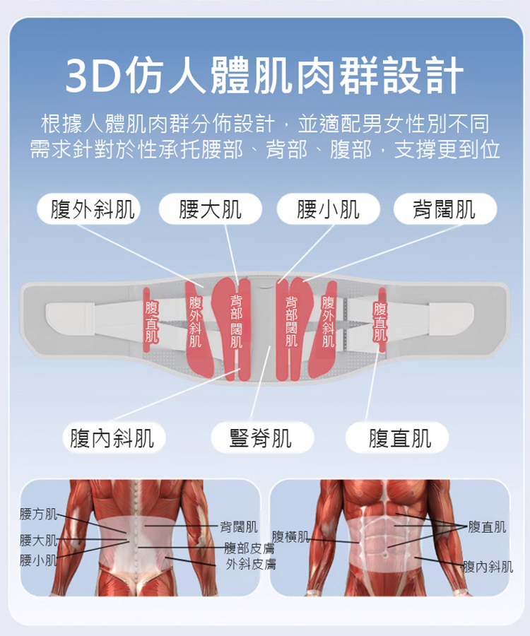 【加強型】久坐久站矯正護腰帶，人体仿生工学设计，多侧支撑你的腰部和腰肌，让你久坐不累腰