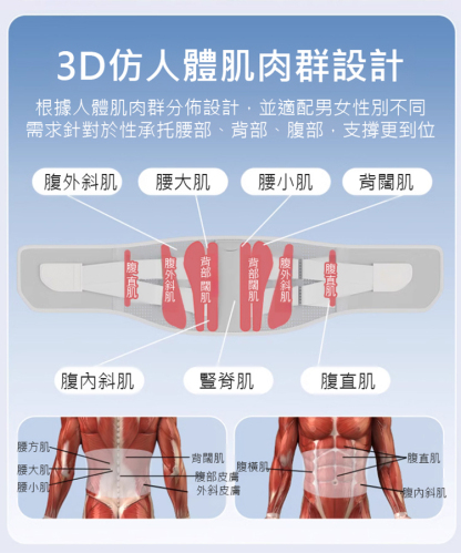 【加強型】久坐久站矯正護腰帶，人体仿生工学设计，多侧支撑你的腰部和腰肌，让你久坐不累腰