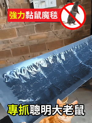 11.gif