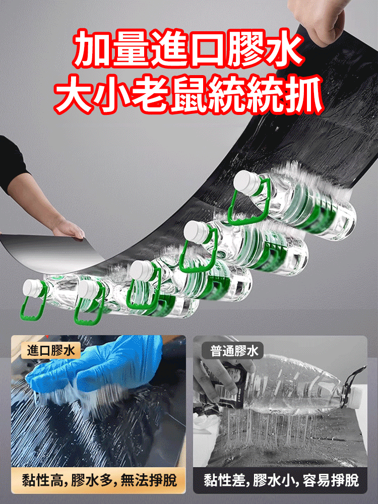 【1晚上抓1窩】超強力滅鼠魔毯，超大尺寸，可隨意剪裁放置地面等強力粘膠，滅絕老鼠