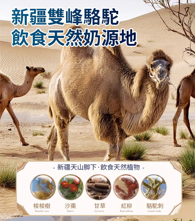 純手工駝奶疙瘩