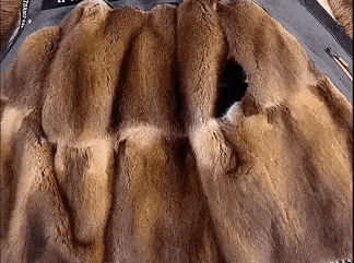 06.gif