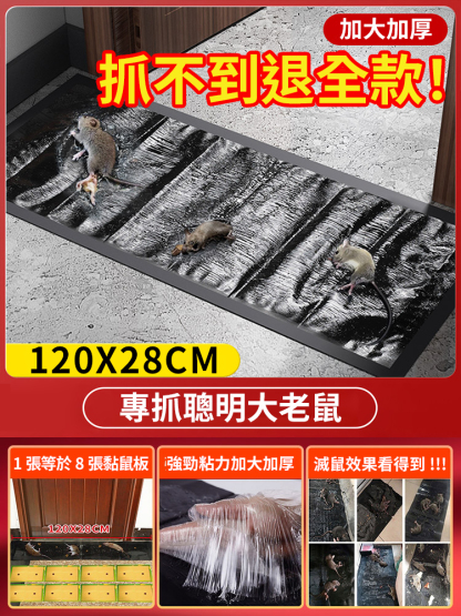 【1晚上抓1窩】超強力滅鼠魔毯，超大尺寸，可隨意剪裁放置地面等強力粘膠，滅絕老鼠