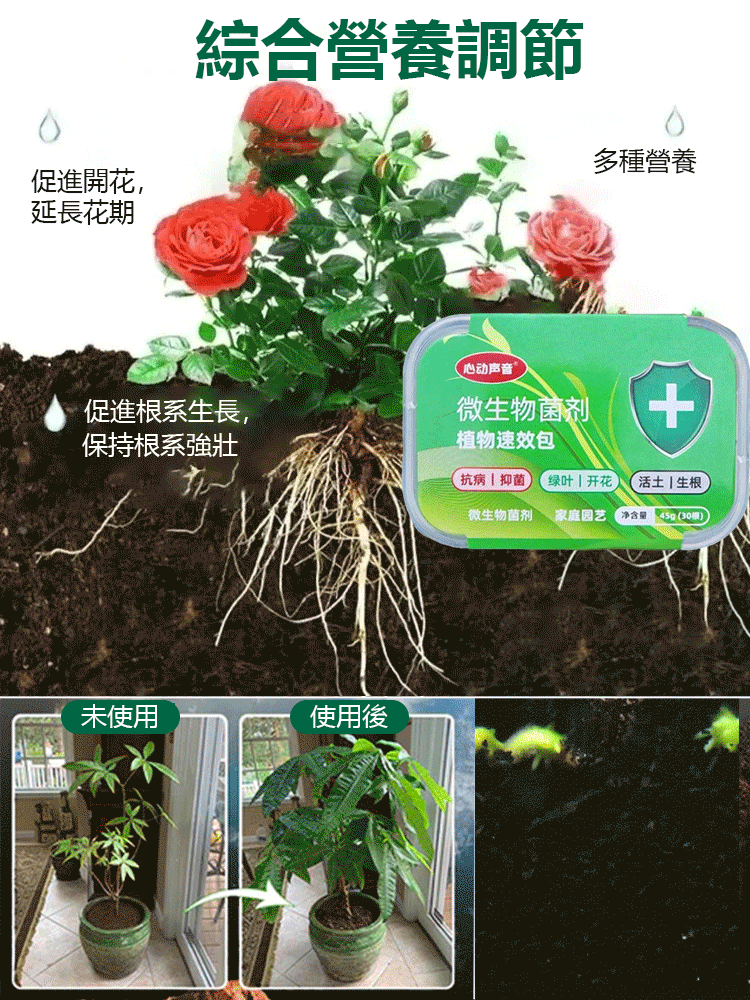 園藝蔬果通用花卉營養棒
