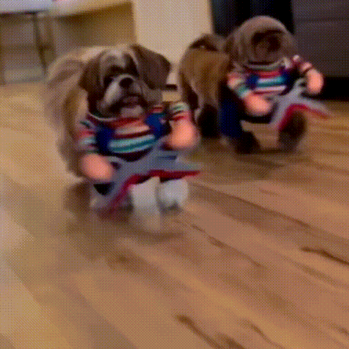 Halloween Pet Costume,Cute Dog Cosplay Halloween Funny Costume Party Special Costume