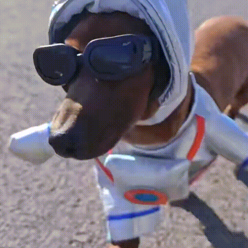 Halloween Pet Costume,Cute Dog Cosplay Halloween Funny Costume Party Special Costume