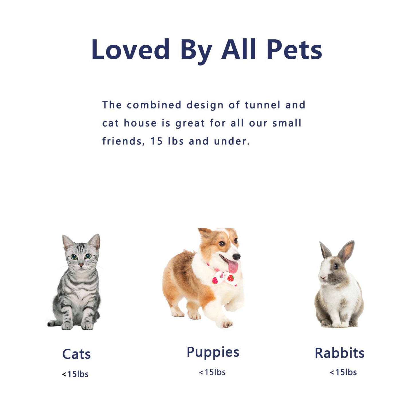 Collapsible Cat Tunnel Toy for Indoor Cats – Pet Play Toy Tube with Ball & Peek Hole for Kittens, Puppies, Rabbits