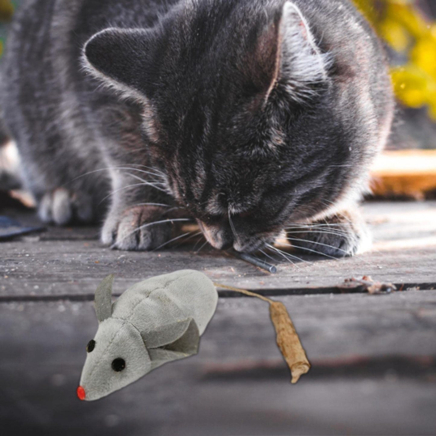Soft Mouse Cat Chew Toy for Kittens Interactive & Portable Cat Toy for Teething and Play