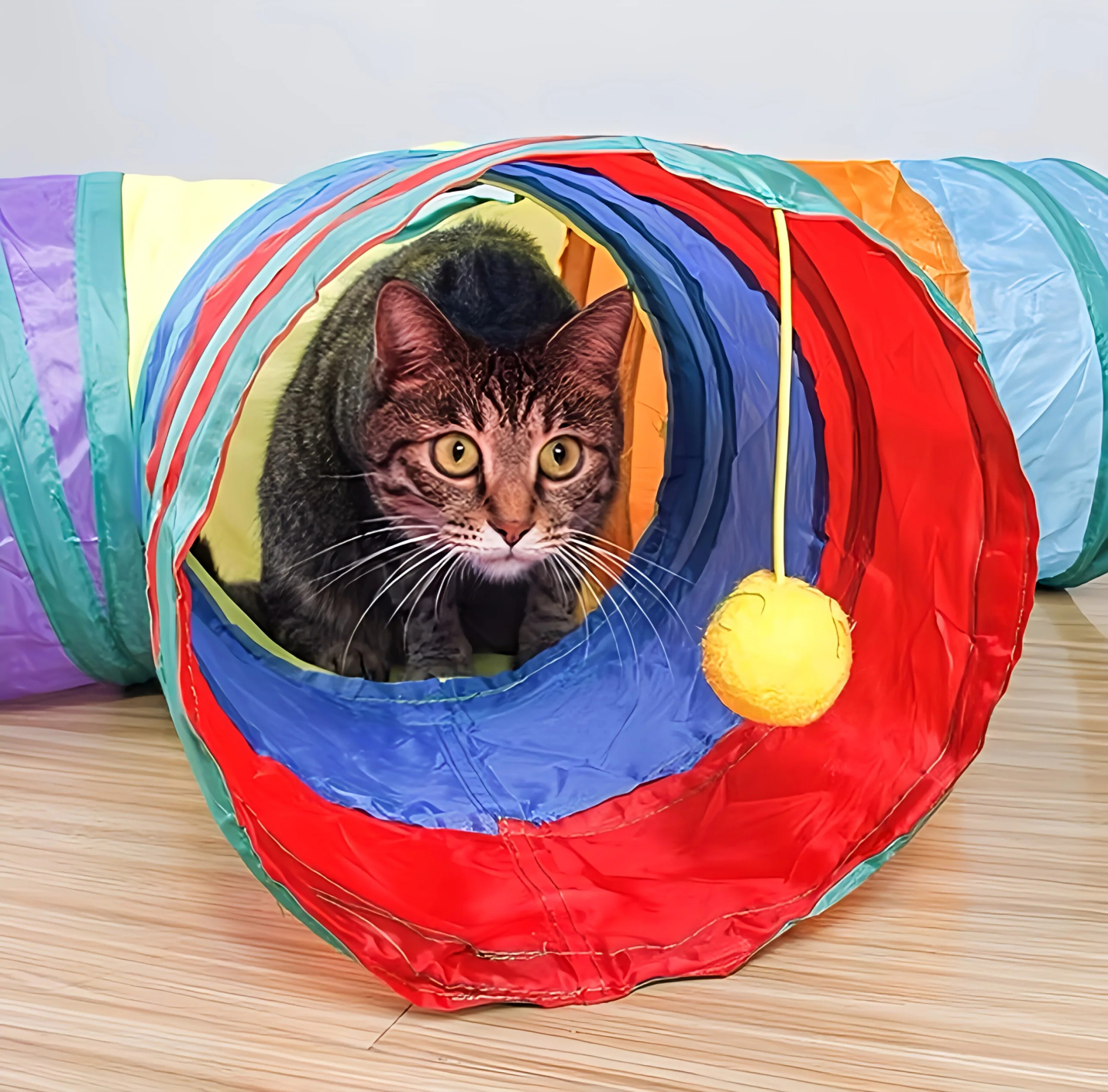 Rainbow Cat Tunnel Toy for Indoor Running Fun for Cats Foldable Play Tube with Peek Hole & Hanging Ball for Kittens, Puppies, and Rabbits