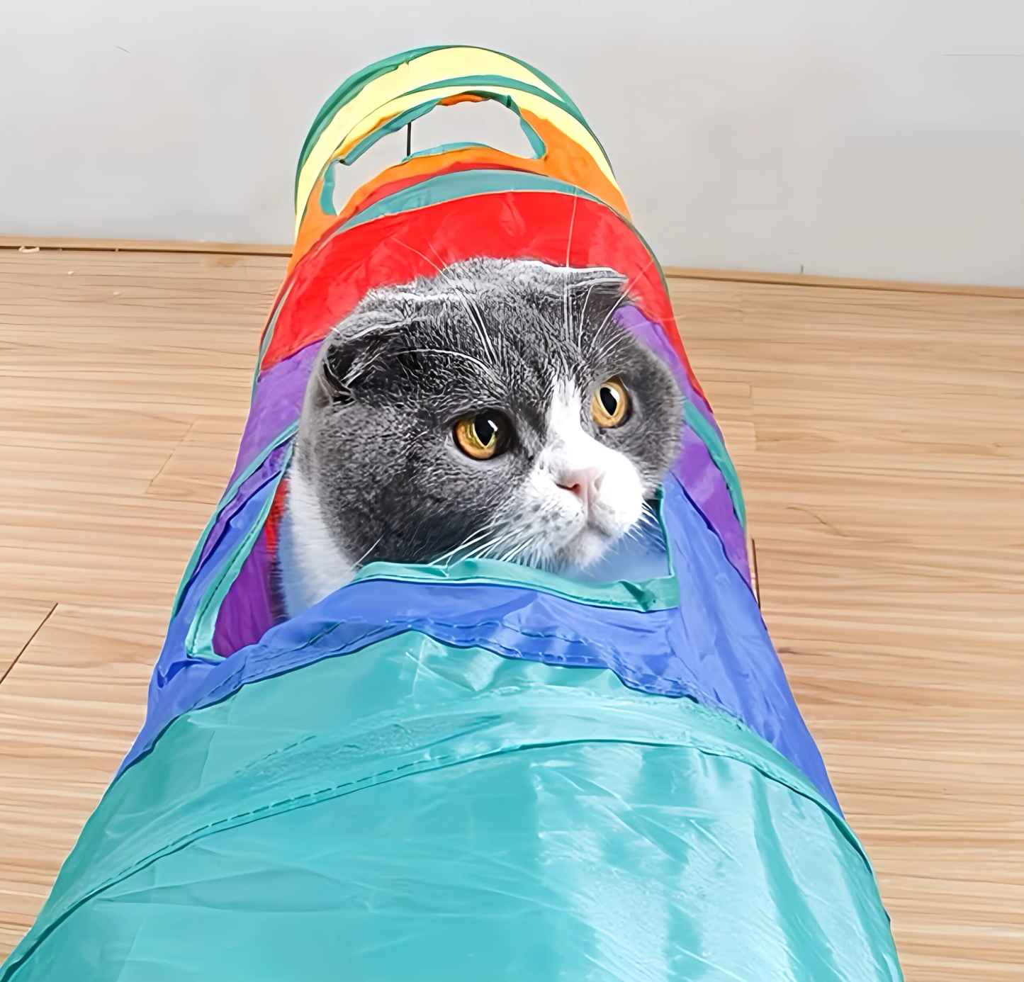 Rainbow Cat Tunnel Toy for Indoor Running Fun for Cats Foldable Play Tube with Peek Hole & Hanging Ball for Kittens, Puppies, and Rabbits
