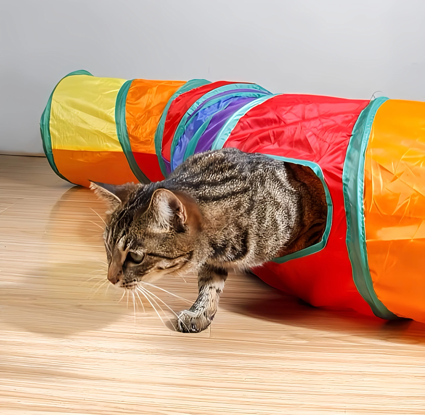 Rainbow Cat Tunnel Toy for Indoor Running Fun for Cats Foldable Play Tube with Peek Hole & Hanging Ball for Kittens, Puppies, and Rabbits