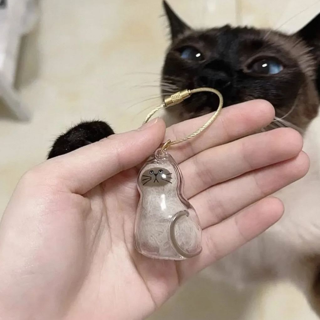 Transparent Cat Fur Capsule Keychain – Acrylic Gashapon Memory Holder Charm