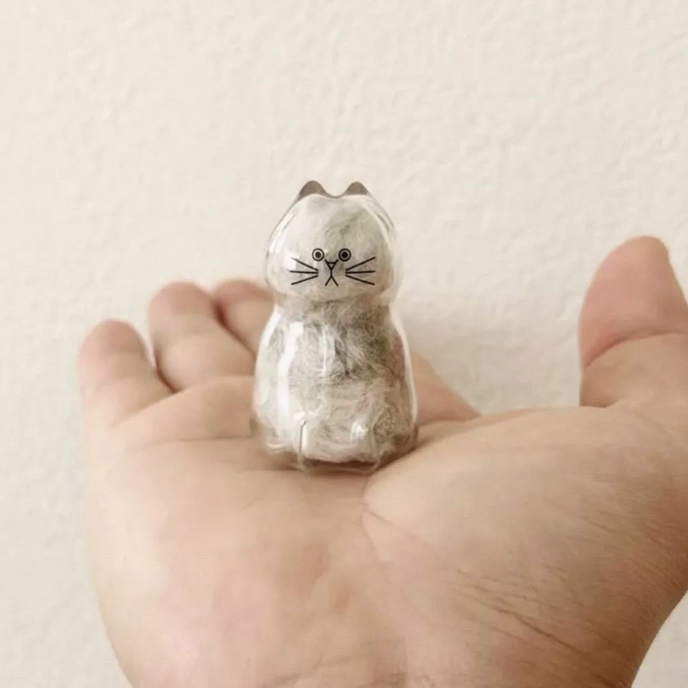 Transparent Cat Fur Capsule Keychain – Acrylic Gashapon Memory Holder Charm
